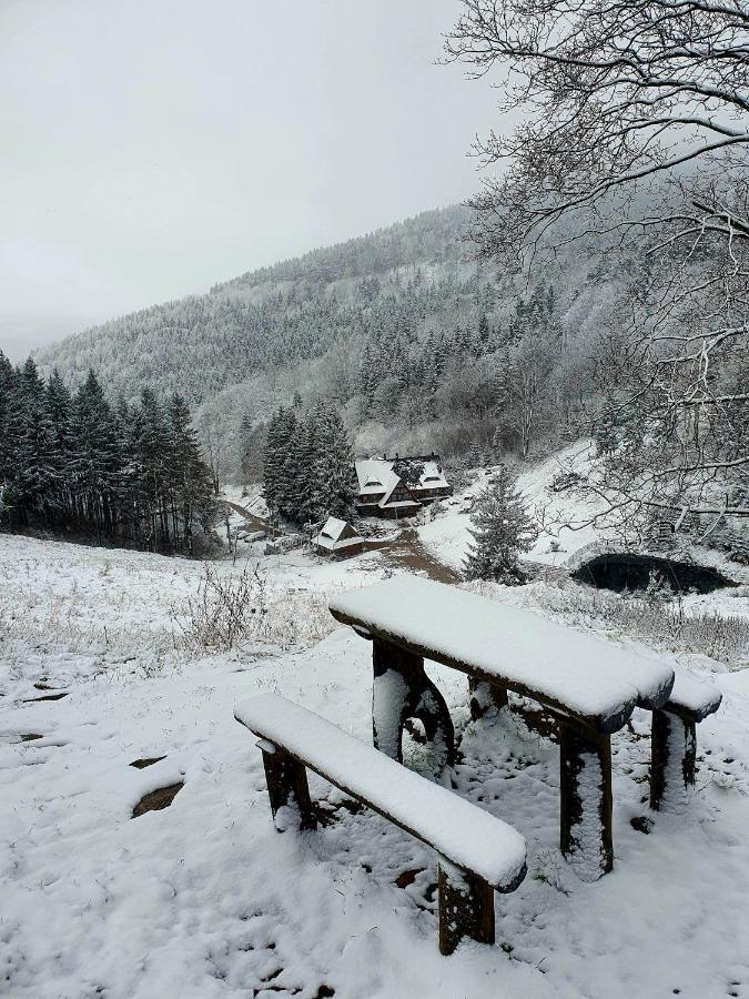 Apartament Mountains Gory Sowie Jugow ภายนอก รูปภาพ