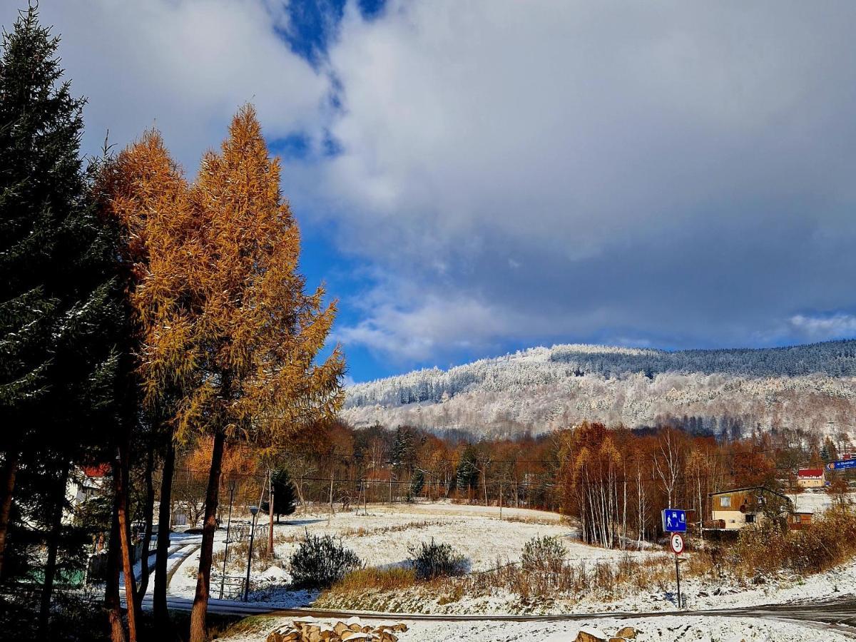 Apartament Mountains Gory Sowie Jugow ภายนอก รูปภาพ
